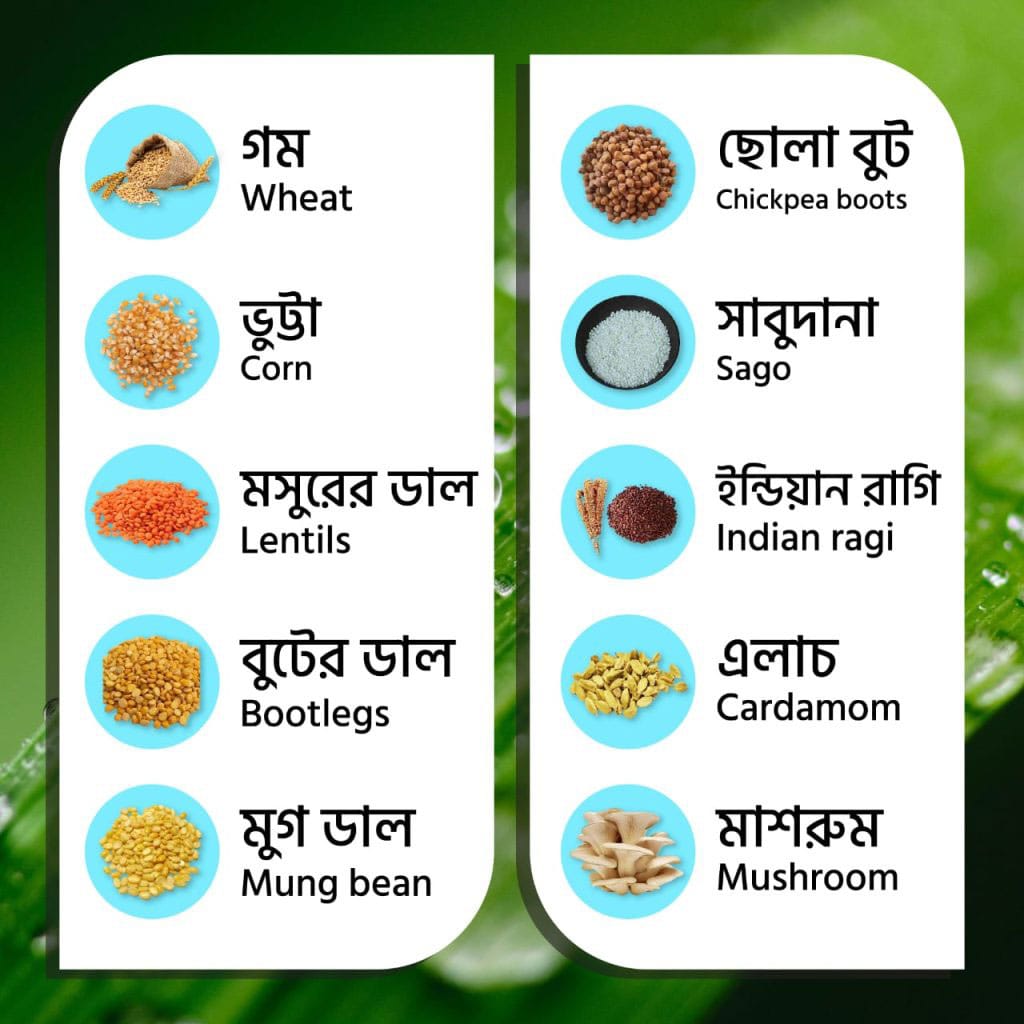 গম-ছোলা-ভুট্টা